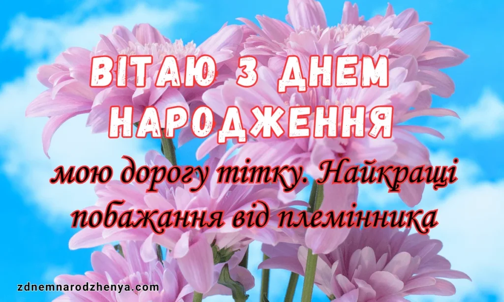Привітання з днем народження тітці від племінника