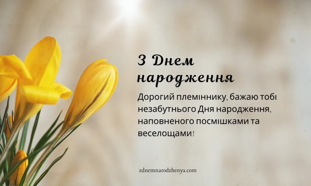 Завантажити картинку з днем ​​народження для племінника